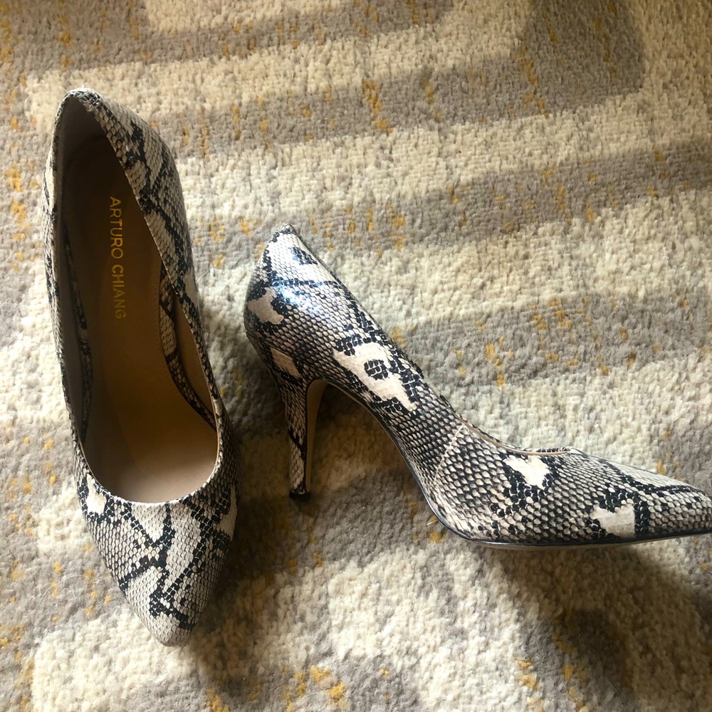 Python Pumps - image 1